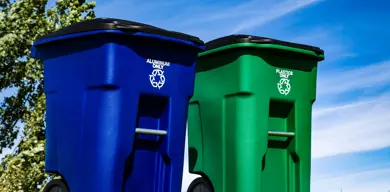 Bin